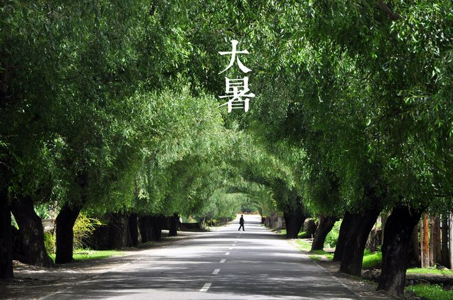 大暑丨葡園消煩暑，夢(mèng)涼天地寬