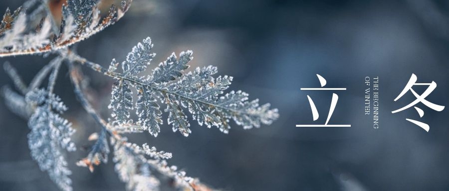 立冬 ▎朔風(fēng)始起，萬(wàn)物境藏