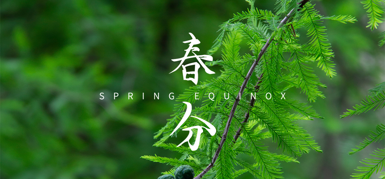 春分 ▎不負(fù)春光，萬物生長(zhǎng)