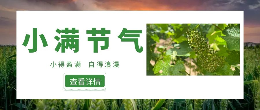 小滿 ▎小得盈滿，自得浪漫~