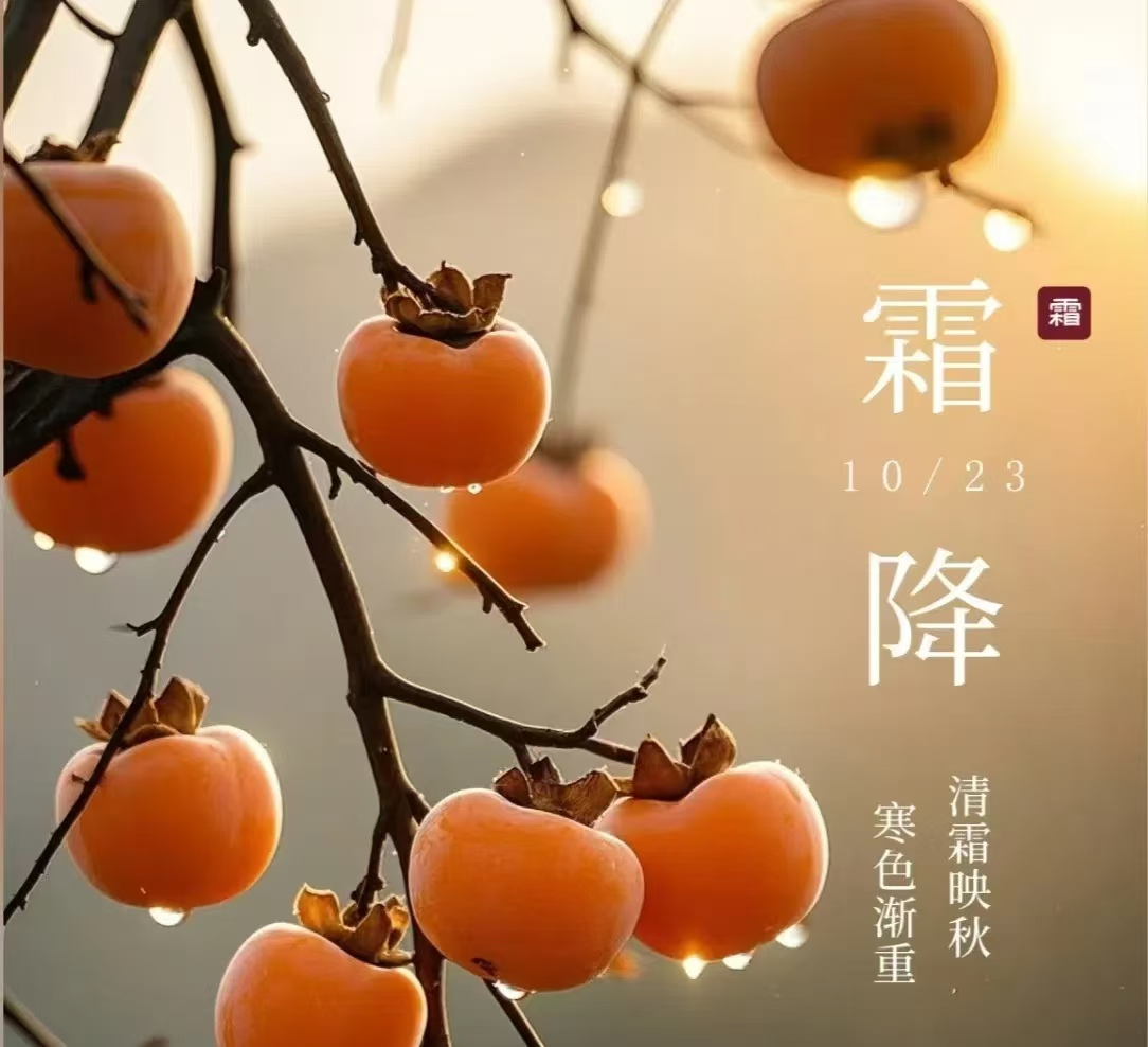 霜降||人間至此秋色盡，草木搖落露為霜